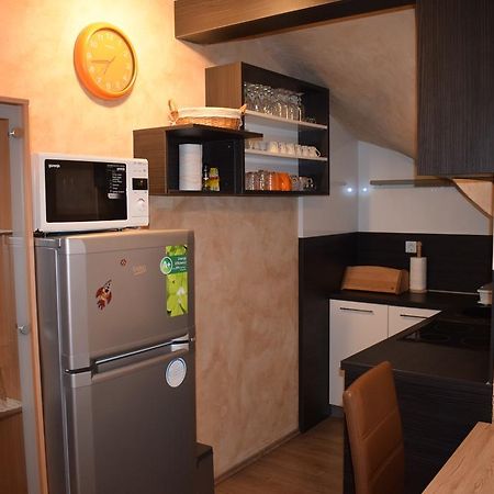 Apartment Borovnica 摩拉瓦托普利采 外观 照片